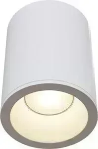 Потолочный светильник Maytoni C029CL-01W