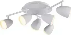 Потолочная светодиодная люстра ST-Luce SL387.501.06