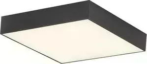 Накладной светодиодный светильник Citilux CL712X242N