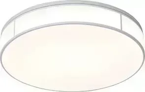 Потолочный светодиодный светильник ST-Luce SL417.502.01