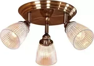 Спот Citilux CL539631