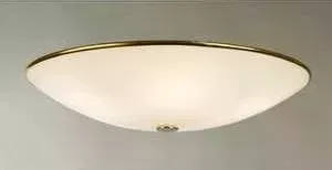 Потолочный светильник Citilux CL911602