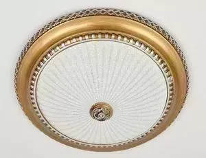 Потолочный светильник Citilux CL425402