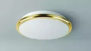 Потолочный светодиодный светильник Citilux CL702222W