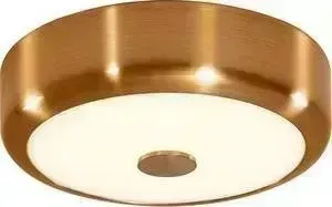Потолочный светодиодный светильник Citilux CL706112