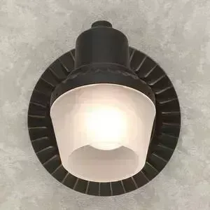 Спот Citilux CL562511