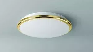 Потолочный светодиодный светильник Citilux CL702162W