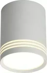 Потолочный светодиодный светильник Omnilux OML-100109-12