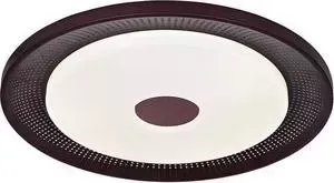 Потолочный светодиодный светильник F-Promo 2536-5C