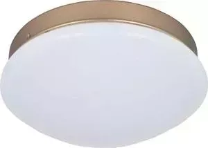 Потолочный светодиодный светильник F-Promo 2466-1C