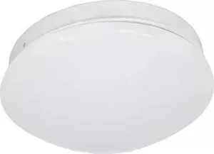 Потолочный светодиодный светильник F-Promo 2469-1C