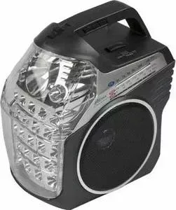 Радиоприемник RITMIX RPR-505