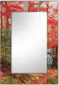 Зеркало Дом Корлеоне Настенное Корлеоне Осень 65x80 см