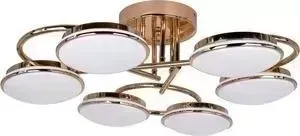 Потолочная светодиодная люстра F-Promo 2477-6U