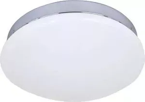 Потолочный светодиодный светильник F-Promo 2464-1C