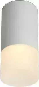 Потолочный светильник Omnilux OML-100609-01