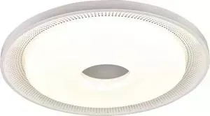 Потолочный светодиодный светильник F-Promo 2463-5C