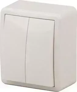 Переключатель двухклавишный ЭРА 11-1204-02