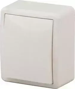 Переключатель одноклавишный ЭРА 11-1203-02