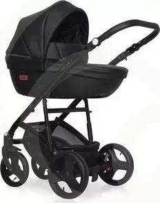 Коляска 2 в 1 Riko Basic 2 в 1 AICON Ecco 01 черный