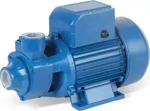Насос поверхностный OASIS PG-370V (4640015386001)