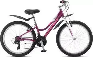 Велосипед Schwinn Breaker 24 Girls (2019), 21 скорость, колёса 24, цвет фиолетовый