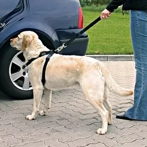 Фото №1 Ремень TRIXIE безопасности автомобильный для собак 20-50см (1288)