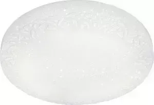 Потолочный светодиодный светильник Ambrella light FF21