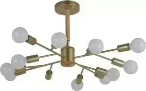 Подвесная люстра F-Promo 2587-12P
