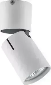 Спот Vele Luce VL8061S21