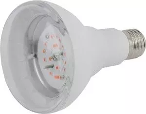 Лампа светодиодная ЭРА FITO-16W-RB-E27-K
