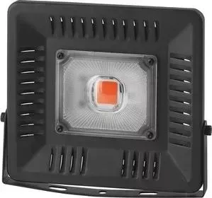 Прожектор светодиодный ЭРА FITO-50W-LED