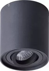 Потолочный светильник ARTELAMP A1460PL-1BK
