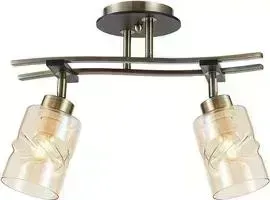 Спот Citilux CL142124
