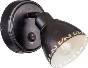 Спот Citilux CL509512