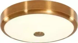 Потолочный светодиодный светильник Citilux CL706132