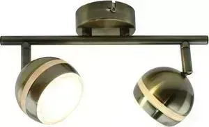 Светодиодный спот ARTELAMP A6009PL-2AB