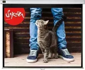 Экран для проектора SAKURA 221x125 Wallscreen 16:9 настенно-потолочный 100"