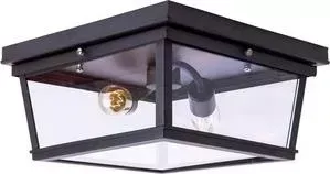 Потолочный светильник Loft IT Loft3110-2C