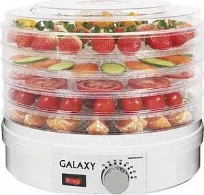 Сушилка для овощей и фруктов GALAXY GL2631