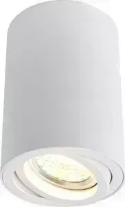 Потолочный светильник ARTELAMP A1560PL-1WH