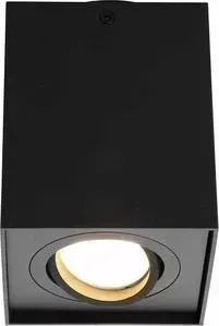 Потолочный светильник Omnilux OML-101119-01