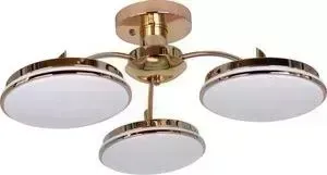 Потолочная светодиодная люстра F-Promo 2473-3P