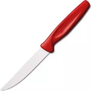 Нож Wuesthof для стейка 10 см Sharp Fresh Colourful (3041r)