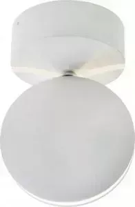 Уличный потолочный светильник Kink Light 08574,01(4000К)