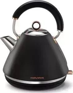 Чайник электрический Morphy Richards 102104EE