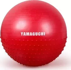 Фитбол Yamaguchi FIT Ball (красный)