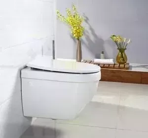Унитаз подвесной BELBANGO Cento-R безободковый, сиденье микролифт (BB509CH, BB2031SC)