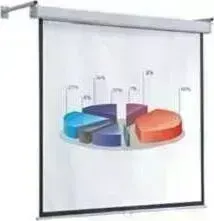 Экран ScreenMedia Economy-P SPM-1101