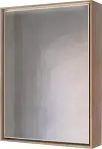 Зеркальный шкаф Raval Frame 60 с подсветкой, дуб трюфель (Fra.03.60/DT)